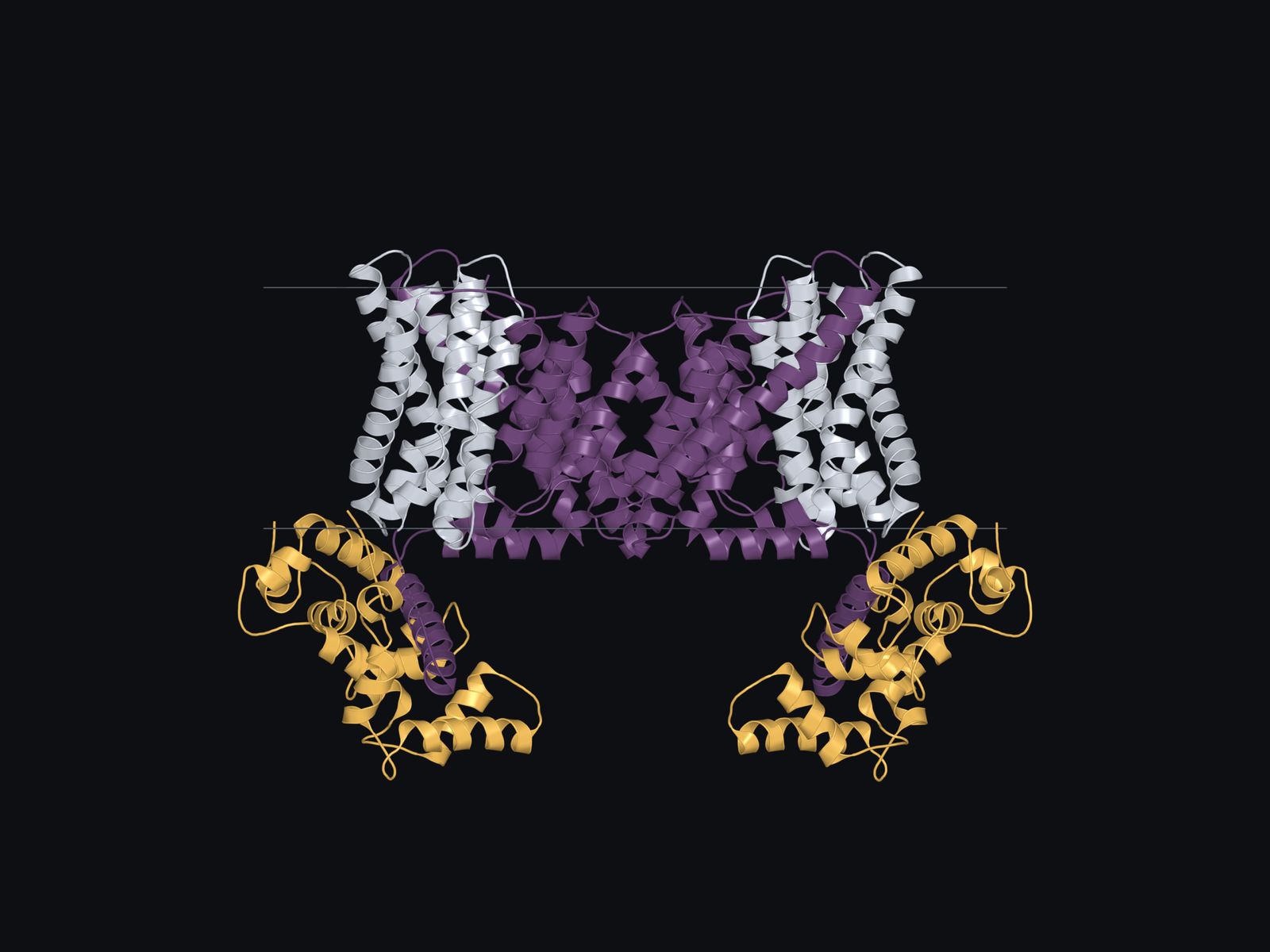 Inward-facing human NHE1–CHP1 complex, 7DSV. The extracellular side is above and the intracellular side below.
