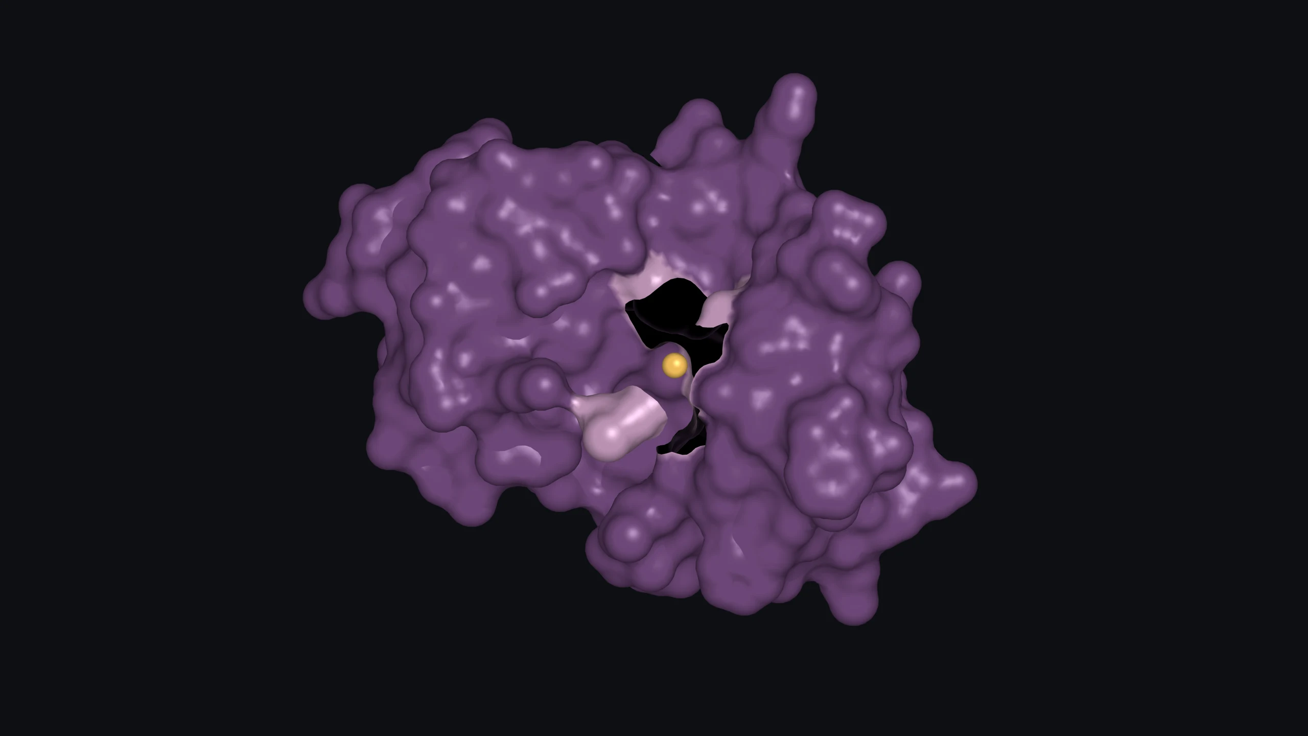 Surface cutaway of human group X secretory PLA₂ revealing a bound calcium ion in gold. Mauve marks the region near calcium.