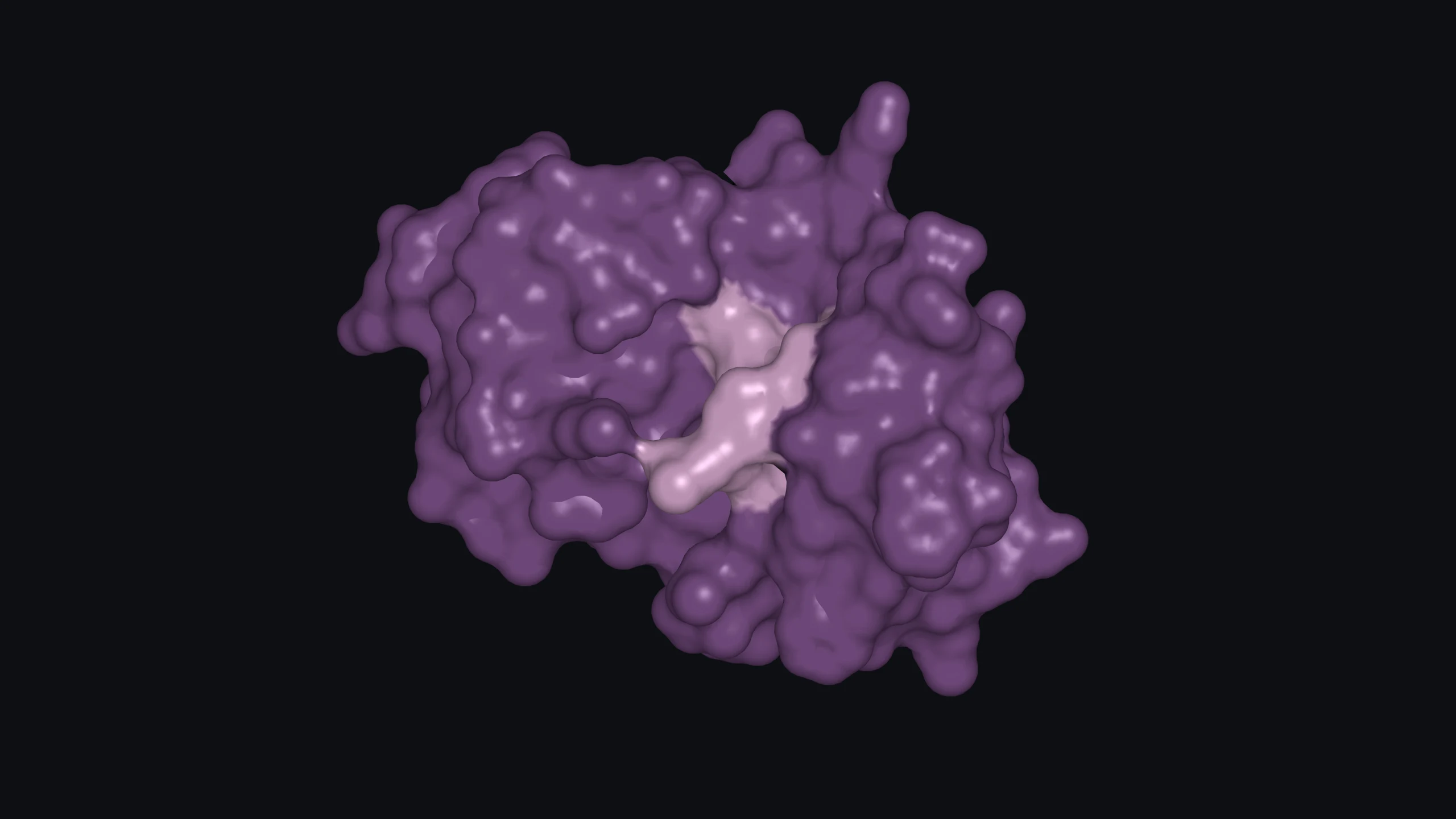 Human group X secretory PLA₂ shown as a complete molecular surface. Mauve marks the region near calcium.