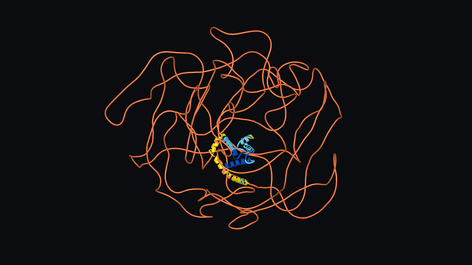 The same predicted segment coloured by pLDDT. Most residues are orange, indicating local confidence scores of 50 or below.