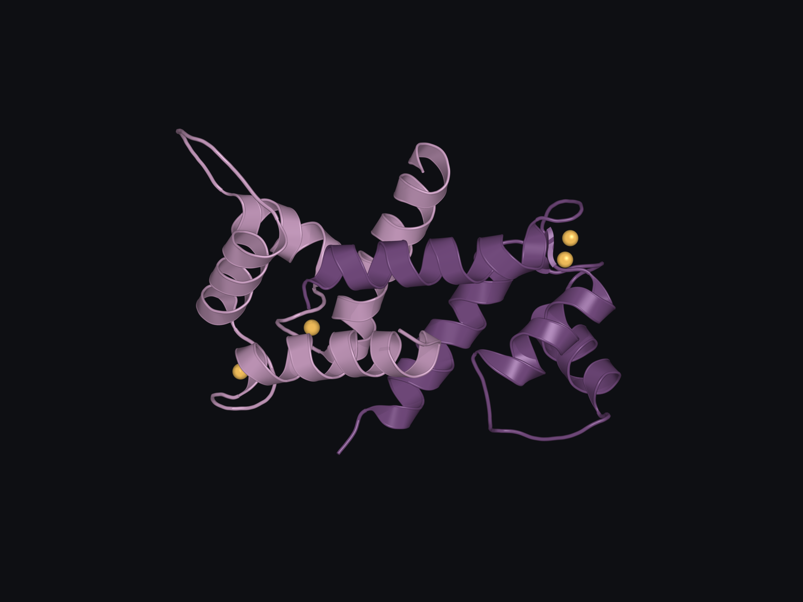 Calcium-bound human profilaggrin S100 domain dimer. Plum and mauve identify the subunits; gold spheres identify four calcium ions.