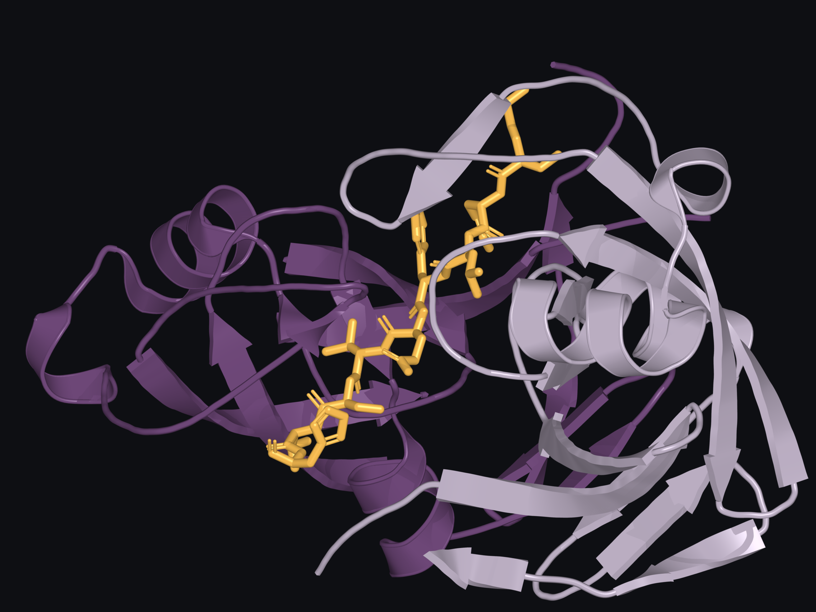 Closer view of the same inactive SASPase binding cleft. Gold identifies the peptide segment GSFLYQVSTH.
