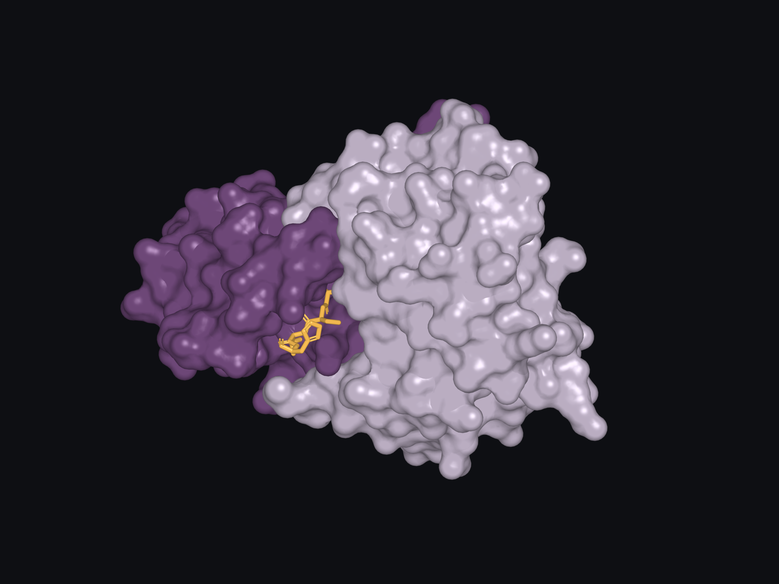Inactive human SASPase ASPRV1 dimer with a filaggrin-derived peptide in its binding cleft.